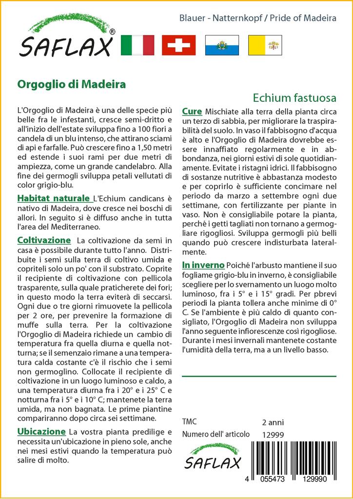 SAFLAX Гордость Мадейры - 100 семян - Echium fastuosa