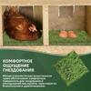 Chicken Coop & Poultry House Accessories