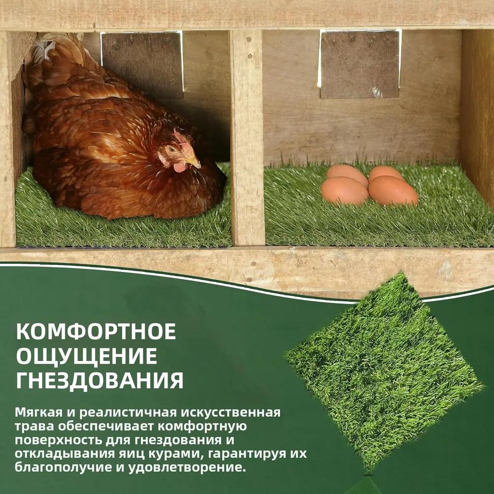Chicken Coop & Poultry House Accessories