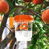 2Pcs Wasp Traps with Solar LED Light Auto ON/OFF Easy To Install Reusable Outdoor Hanging Fruit Fly Traps Insect Catchers