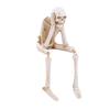 Halloween Skeleton Statue Resin See Speak Hear No Evil Skeleton Figurine with Dangling Legs for Indoor Mantel Table Shelf Decor