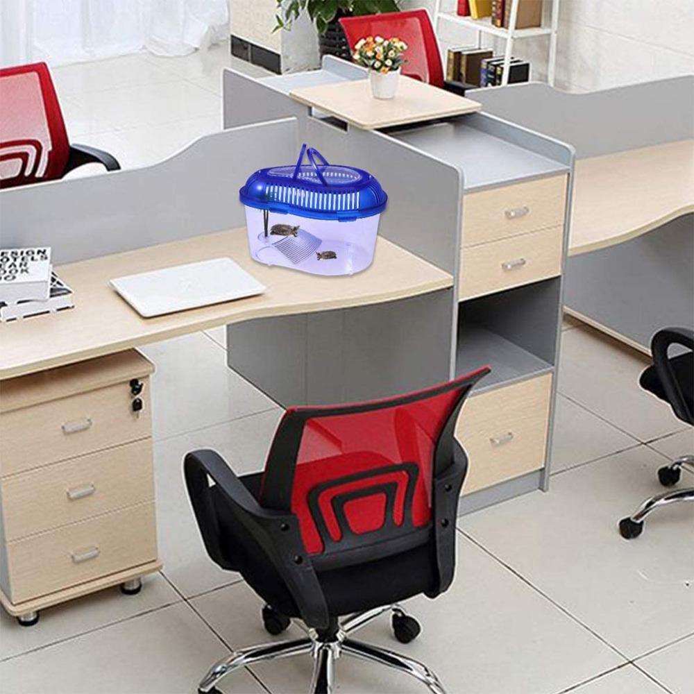 1PC Plastic Goldfish Feeding Box Household Spider Jar Turtle Tank Reptile Container Turtle Habitat