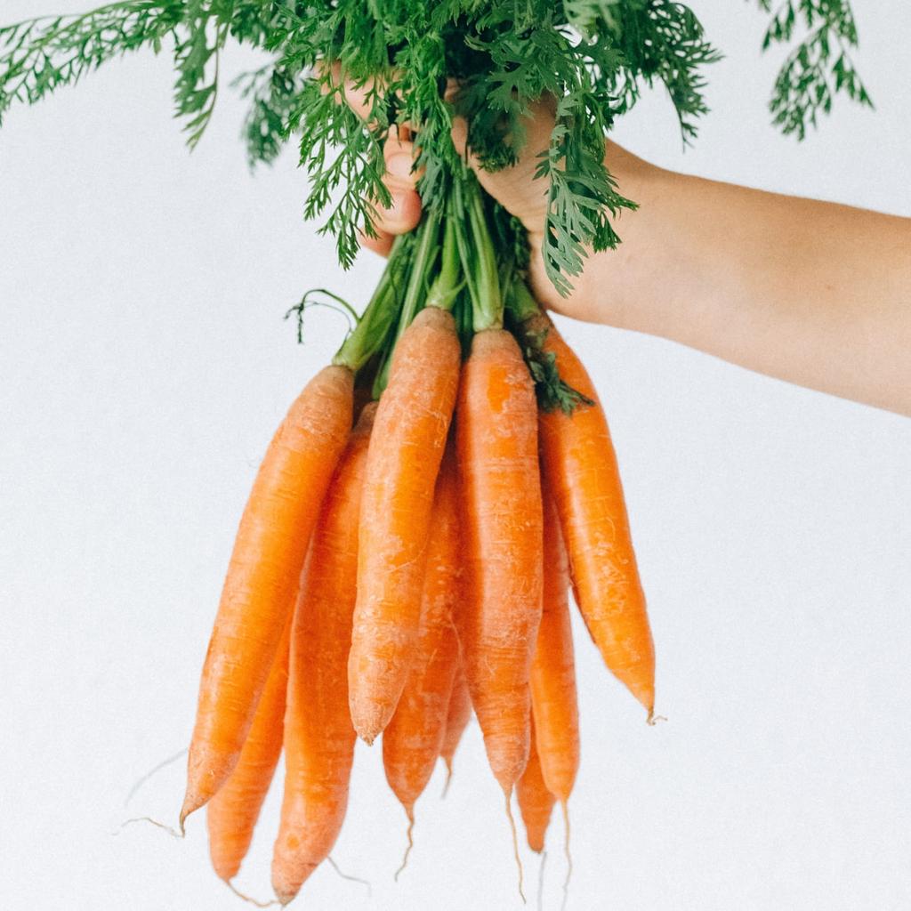 VEGETABLE SEEDS SET On the Balcony TERRACE 9 Varieties Seeds for Easy Cultivation In Pots