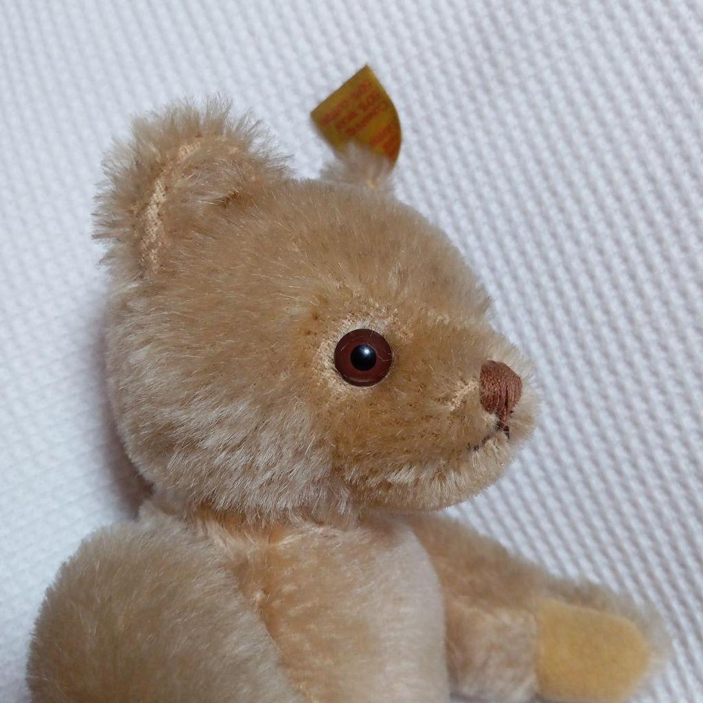 [USED] Steiff Teddy Bear with Yellow Tag