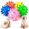 Pet Dog Puppy Thorny Round Ball Molar Teeth Cleaning Chewing Squeaky Sound Toy The Secret Life of Pet