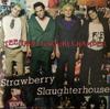 CD STRAWBERRY SLAUGHTERHOUSE - Teenage Torturechamber STRAW00001 EMI-Medley 1994 Denmark Rock Used