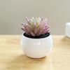 Fake Potted Plant Weather Resistant Photo Props Wide Application Excellent Mini Succulents Desk Office Potted Home Accessories