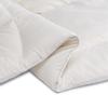 Basic Antibacterial and Deodorizing All-Season Comforter, Single Size, 140 X 200 Cm, Feather Alternative, White
