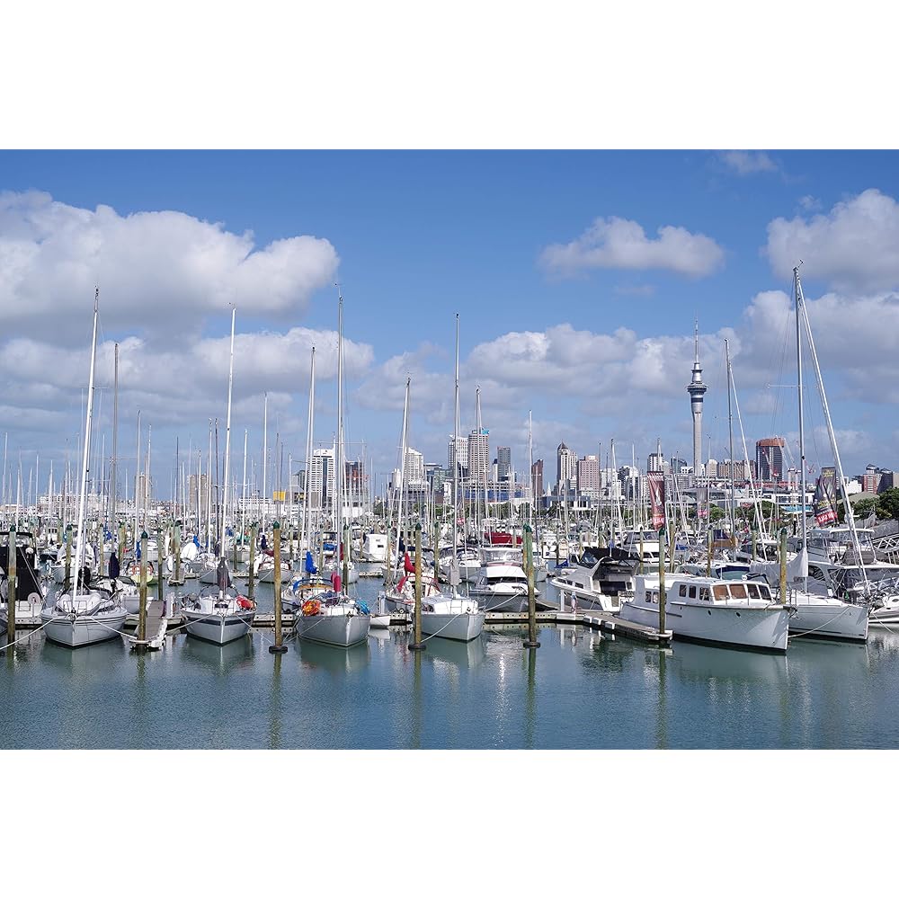 Pentax HD Pentax D FA 50mm 1.4 SDM AW Full Frame All-Weather Camera Lens, Black