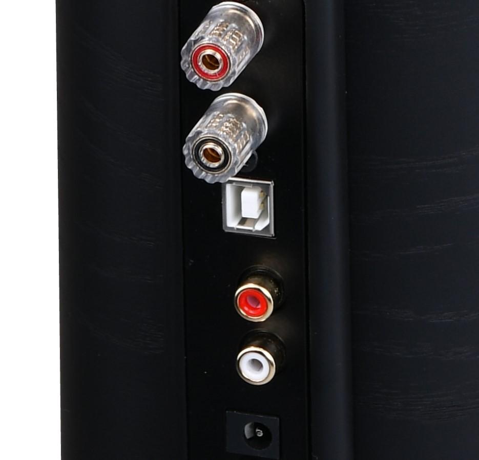 Acoustique Quality CANTO 3 FORTE / Beech, Acoustique Quality