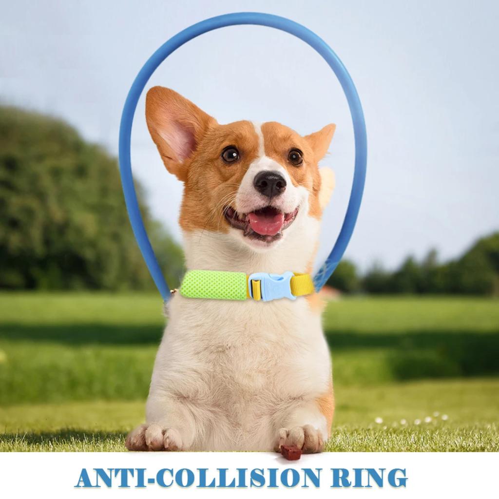 New Protective Blind Pet Anti-collision Guide Training Behavior Aids Collar for Small and Big Dogs - Prevent Collisions - Essent
