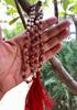 Indian Origin Rudraksha + Sfatik/ Sphatik Mala 108+1 Bead  5 mukhi 5 faces Lord Shivas Rosary Jaap Mala Yoga Prayer Healing Meditation 6 mm