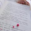 Wang Zengqi Essay Collection
