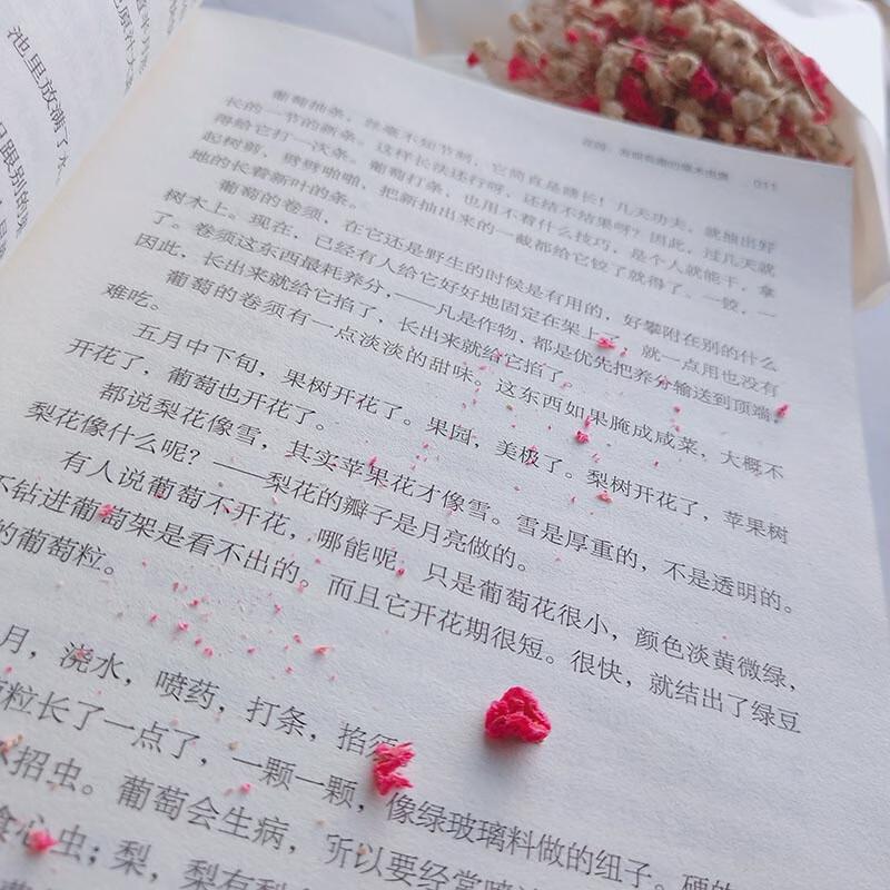 Wang Zengqi Essay Collection