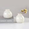 Ceramics Flower Vase Nordic Hydroponics Vases for Home Room Decoration Mini Flower Plant White Bottle Pots Desktop Ornament