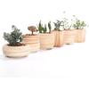 Sun-E 3 Inch Ceramic Wooden Pattern Succulent Plant Pot Cactus Plant Pot Flower Pot Container Planter Gift Idea 6 in Set