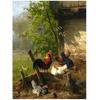 5D Diy Алмазная картина Вышивка крестиком Сельские животные петух Курица Алмазная вышивка