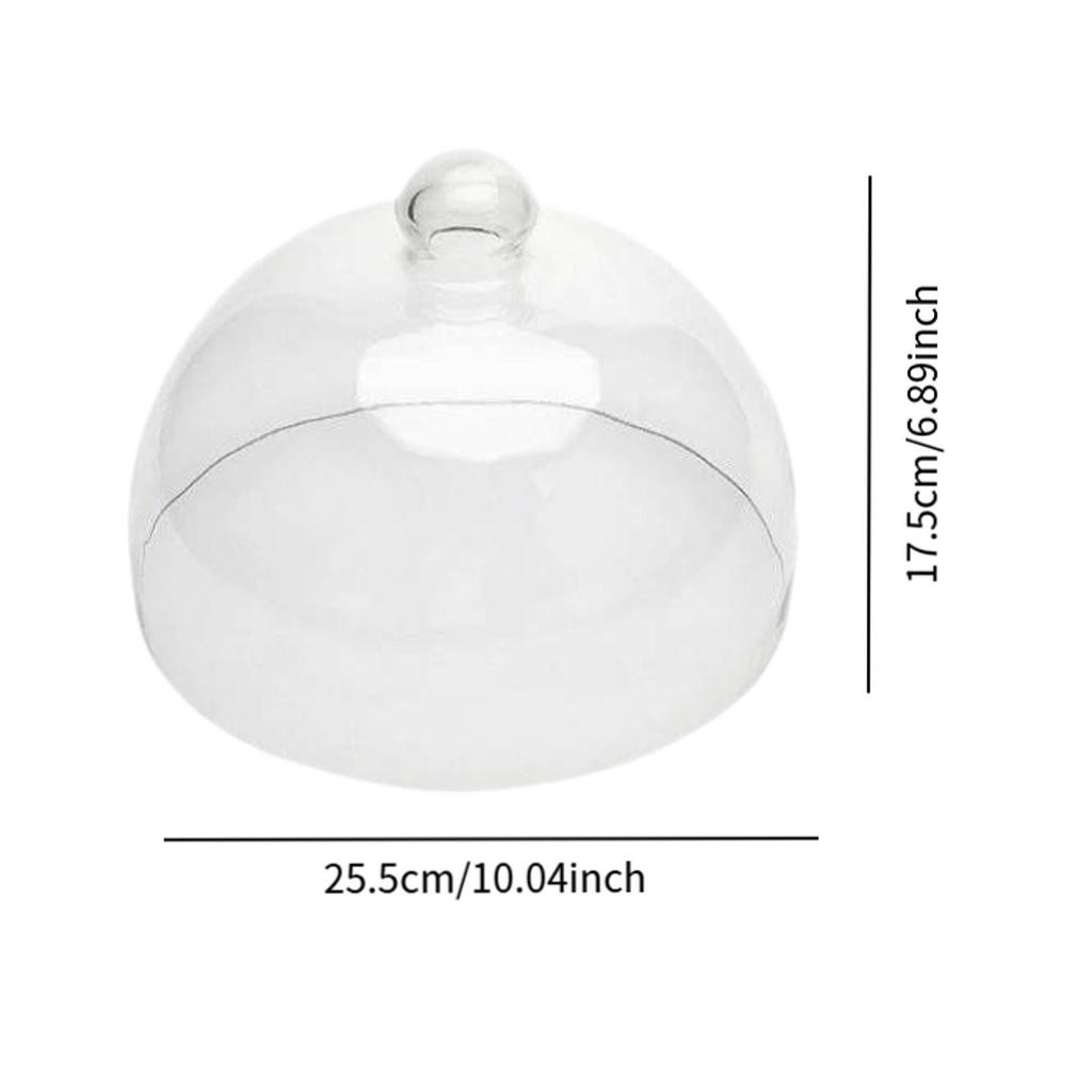 Cake Transparent Glass Stand Round Lid Plate Dessert Presentation Material Suitable for