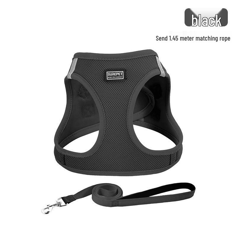 Защитная шлейка и поводок для кошек и маленьких собак - Веревка для прогулок на улице для тедди и бишон-фризе