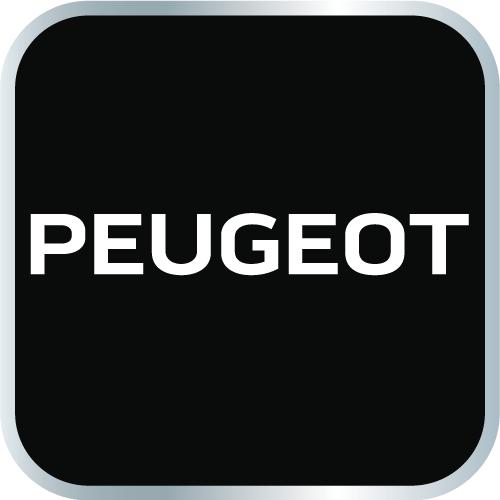 Peugeot car clip set, 345 pieces