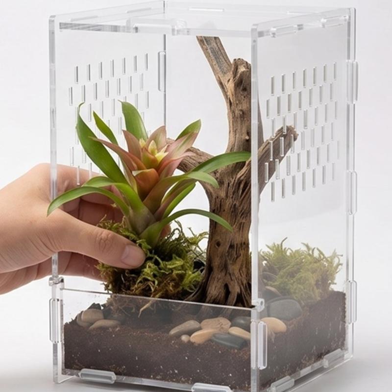 Amphibian Breeding Box Convenient Terrarium with Front Opening Door For Easy Maintenances Jumping Spiders Encloure
