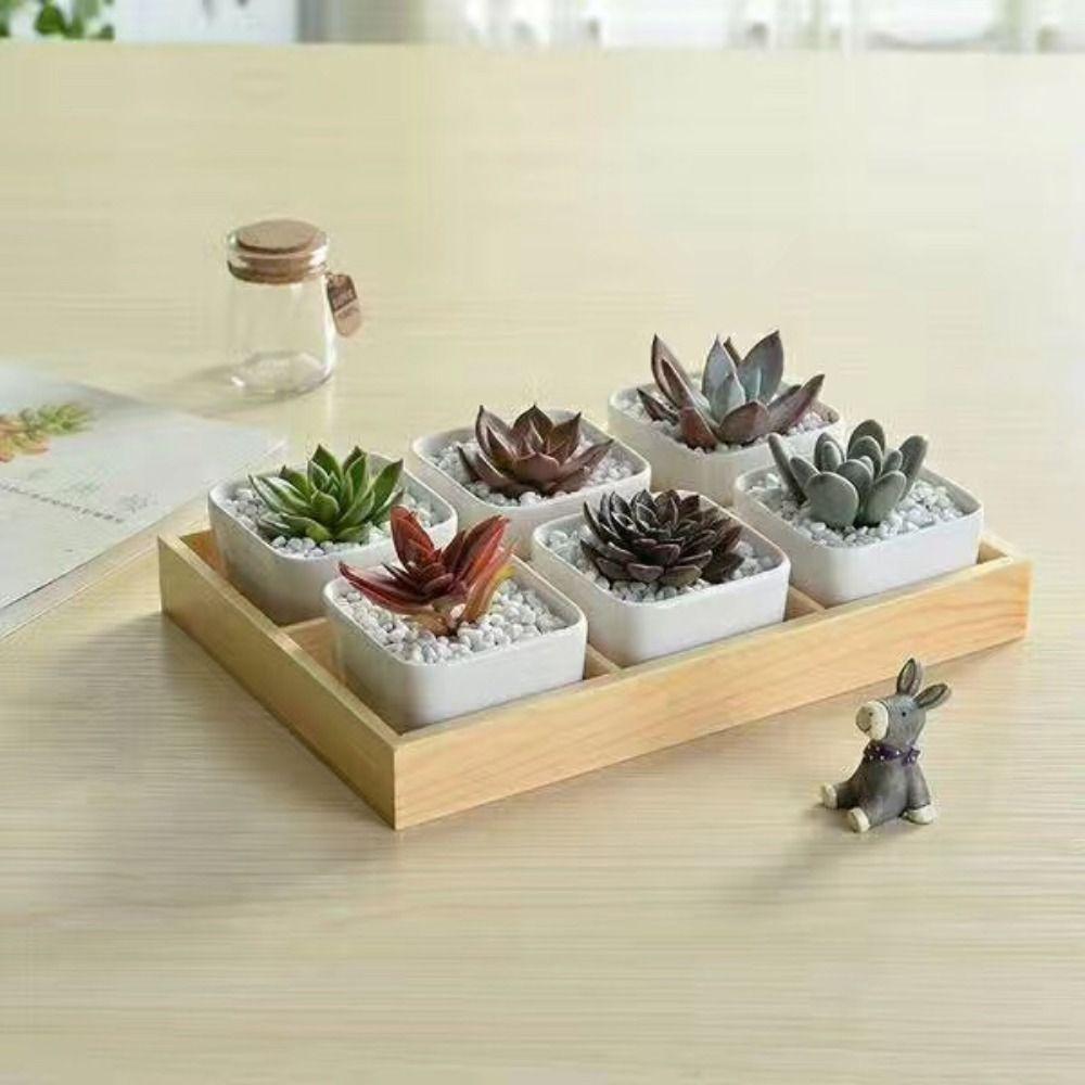 Multifunctional Succulent Flowerpot Tray Multi-grids Desktop Sundries Organizer Storage Box