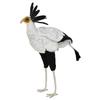 BH7639 HANSA Secretarybird 59