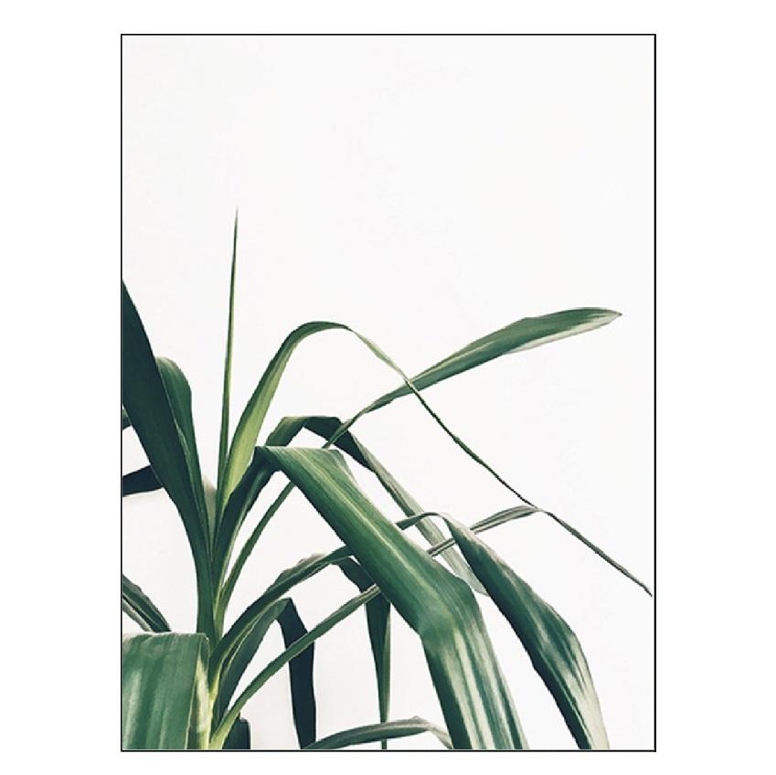 Белый тюльпан, зеленые суккуленты, алоэ монстера, растение, художественный плакат на скандинавскую тему, живопись на холсте и настенные панно для декора гостиной