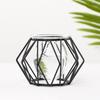 Home Decoration Iron Geometric Pattern Glass Planter Terrarium Metal Holder Hydroponic Vase