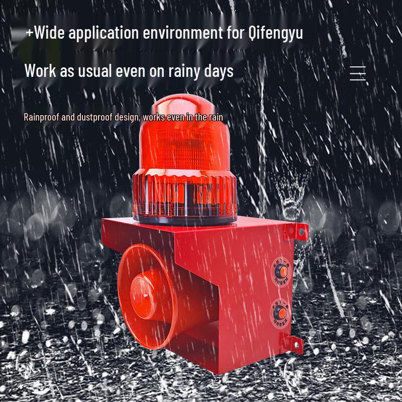 Rongwu SX-01PY Wireless Remote Control 220V Alarm System