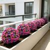 Garden Camp Decor Artificial Morning Glory Flowers with Ground Stake for Outdoor Yard