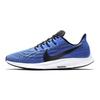Air Zoom Pegasus 36 Синий гонщик AQ2203-400