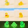 Adorable Luminous Playful Duckling Figurines Resin Miniature Decor Set