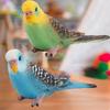 1 Pack 2pcs Bird Static Macaws Parrot Model Figurines For Collection Educational&Decoration