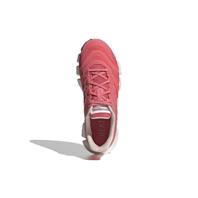 adidas Climacool Vento Hazard Rose Женские кроссовки Pink Hazy-Rose Cloud-White FW6841