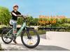 HILLMILES MileCity 1 Straddle Electric Bike: 80-100 km range, 20" wide tires, Shimano 7-speed gearbox, IPX4 - Urban commuting