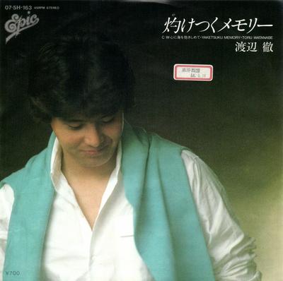 7-дюймовая пластинка TORU WATANABE - Yaketsuku Memory / Kokoro Ni Umi O 075H163PROMO EPIC 1983 Япония Японская поп/рок Б/У