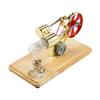 Stirling Engine Kit Electricity Generator Hot Air Motor Model Physical Generator Model with LED Light Flywheel Wooden Base
