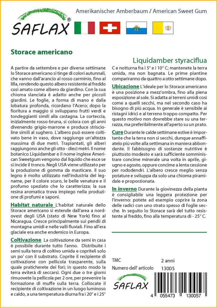 SAFLAX American Sweet Gum - 100 семян - Liquidamber styraciflua