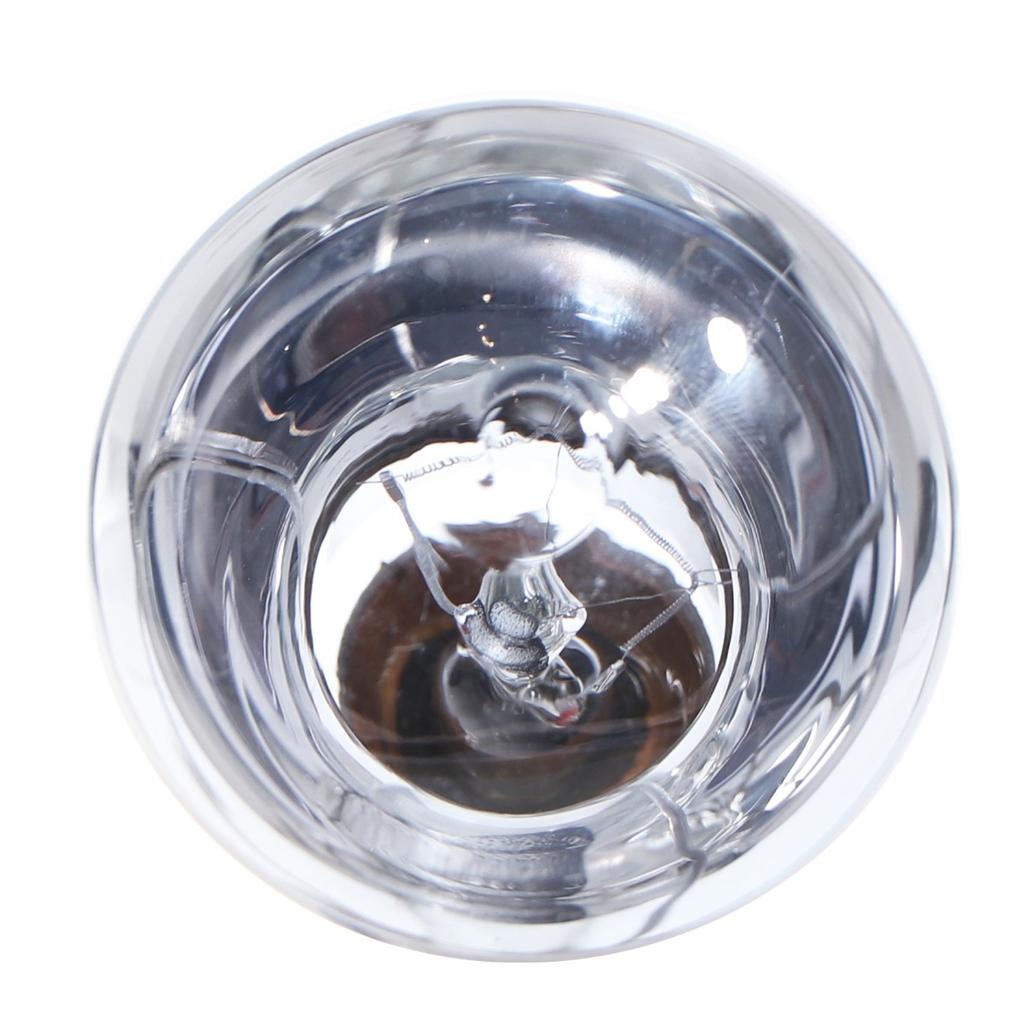 Neodymium Heating Bulb Daylight For Reptile Terrarium 75W Powerful