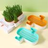 Hydroponic Cat Grass Planter Detachable Bottom Fine Filter Hole Double Layer Soilless Catnip Snack Growing Box for Garden