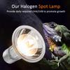 Reptiles Sun Basking Heating Lamp Bulbs Amphibian UBACelsiusUVB Sunbathe Bulb for  
