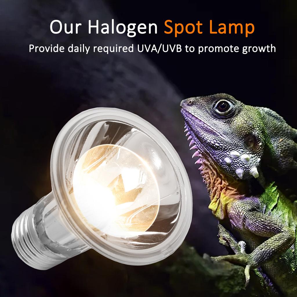 Reptiles Sun Basking Heating Lamp Bulbs Amphibian UBACelsiusUVB Sunbathe Bulb for