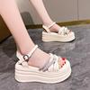 Temperament Lady Soft Sole Not Tired Feet Sandals 2024 Internet Celebrity Elegant with Skirt Versatile Fresh and Elegant Single Shoes