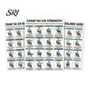 Chair Exercises for Seniors 3Pcs Tai Chi Exercise Poster Set Seated Workout Home Fitness Chart Low Impact Balance Strength Training Guide Senior