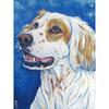 5D алмазная живопись собака вышивка крестиком животное вышивка полная круглая мультяшная картина из стразов мозаичное украшение для дома