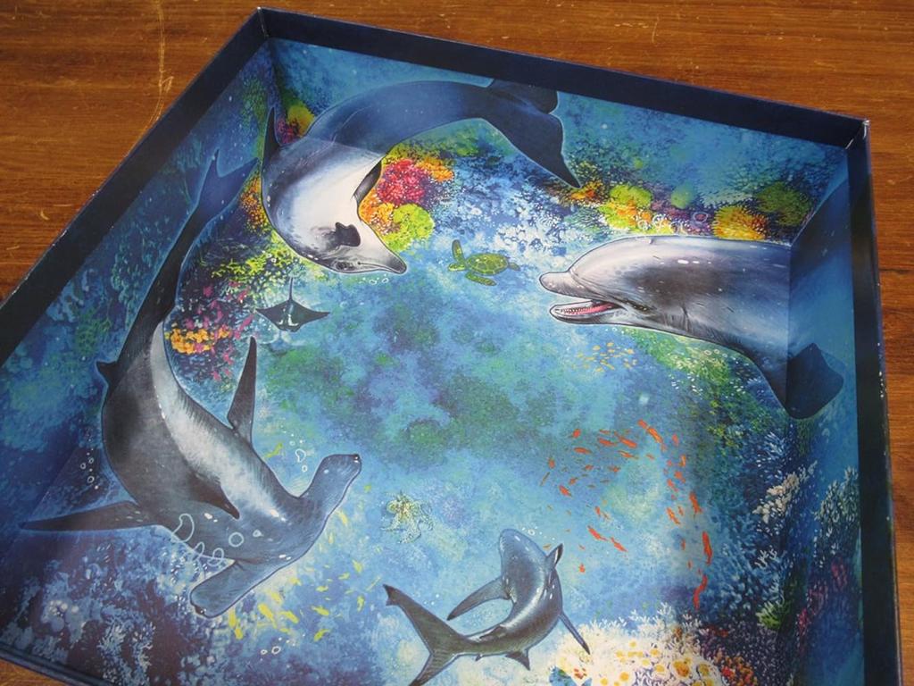 Board Game Aqua Multilingual Version