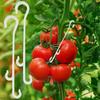 10pcs J Shaped Fruit Cherry Tomato Ear Hook Garden Vegetable Plant Grape Support Vines Fastener Clips Trellis Fixed Buckle Hook