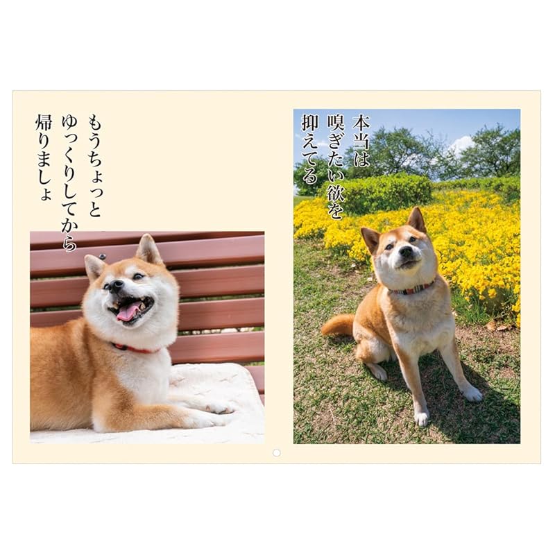 2025 календарь сенрю про собак №018