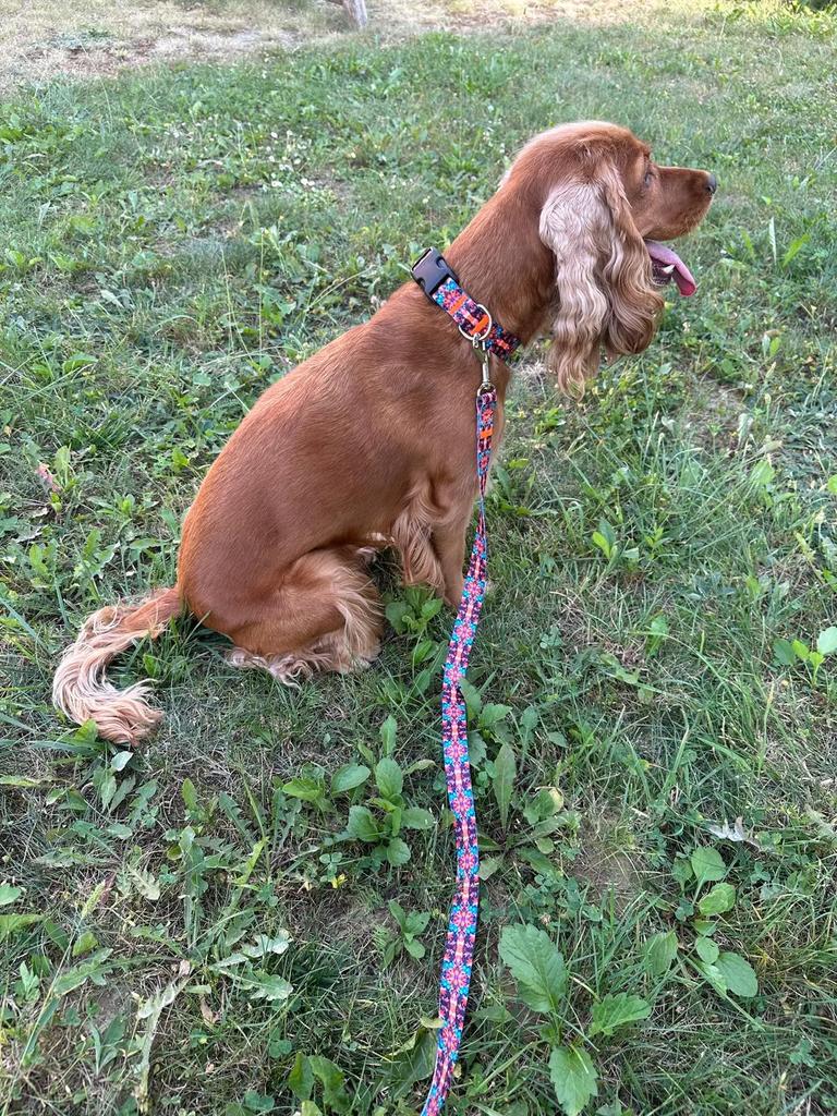 Adjustable Dog Collar Handmade FUZJA Adjustable Dog Collar Handmade FUZJA M: 30-45cm